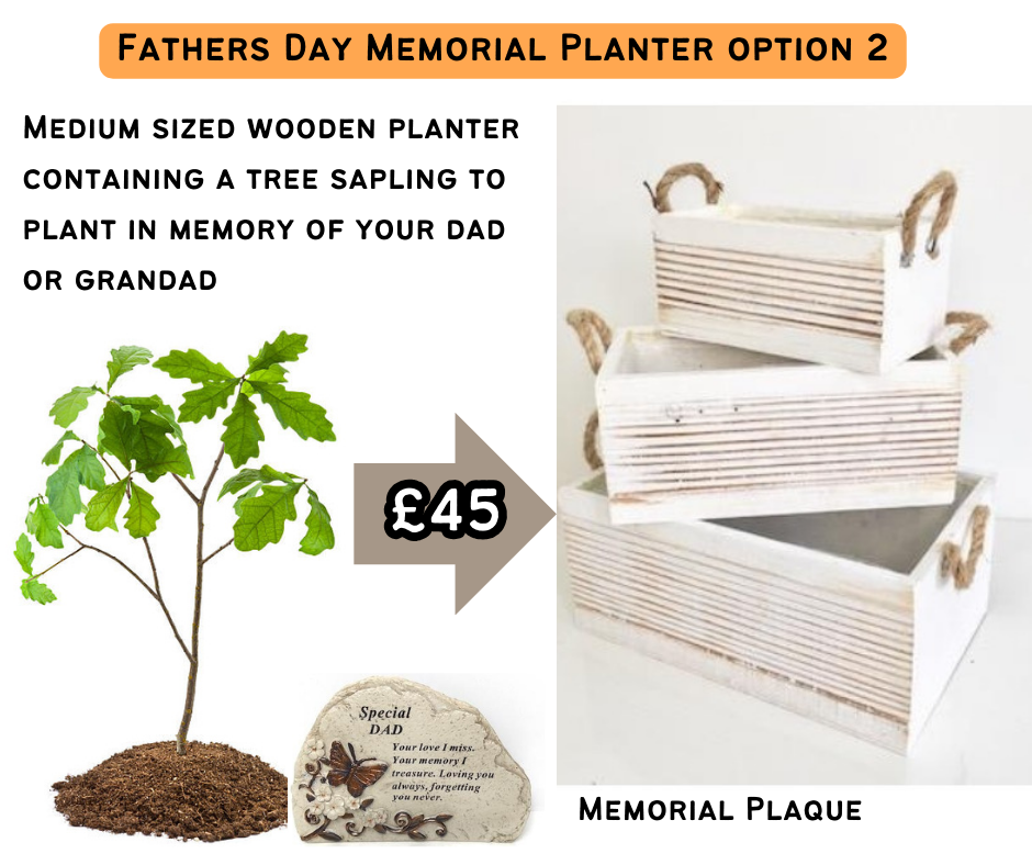 Fathers Day Tree Memorial