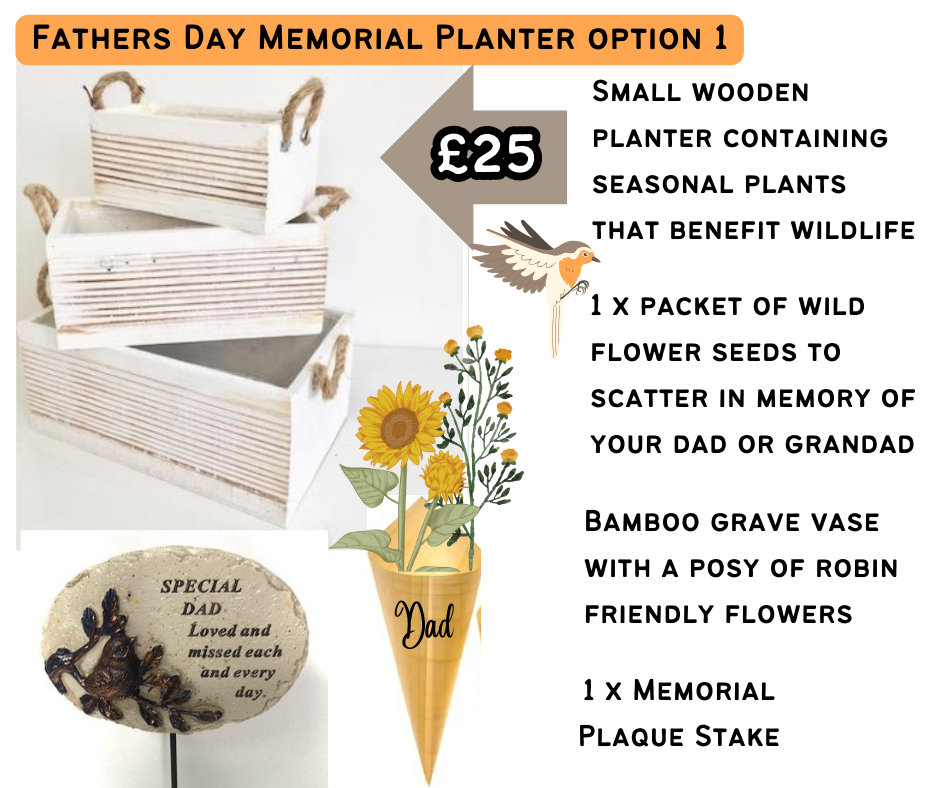 Grave Posy in Planter