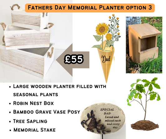 Fathers Day Memorial Planter